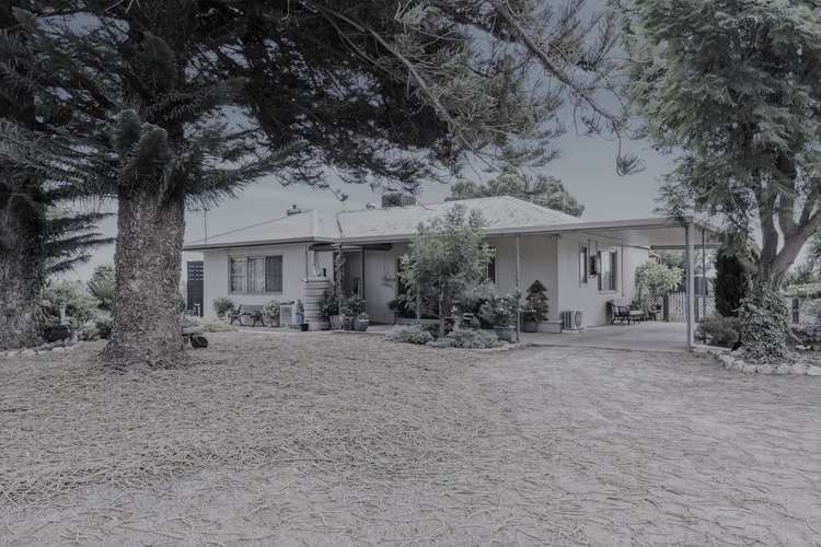 Main view of Homely house listing, 181 Edmondson Road, Loxton SA 5333