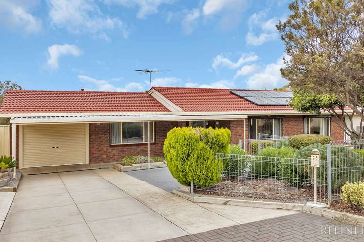 Main view of Homely house listing, 36 Black Road, Flagstaff Hill SA 5159