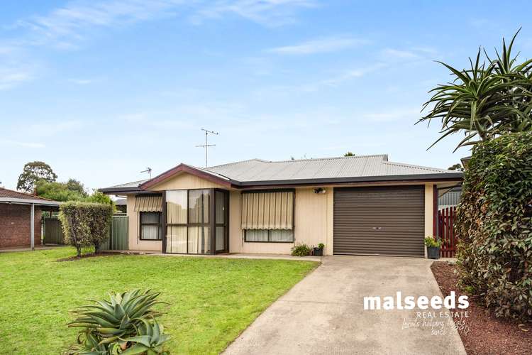 Main view of Homely house listing, 16 Olinda Court, Mount Gambier SA 5290