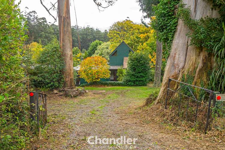 Main view of Homely house listing, 207 Mount Dandenong Tourist Road, Ferny Creek VIC 3786