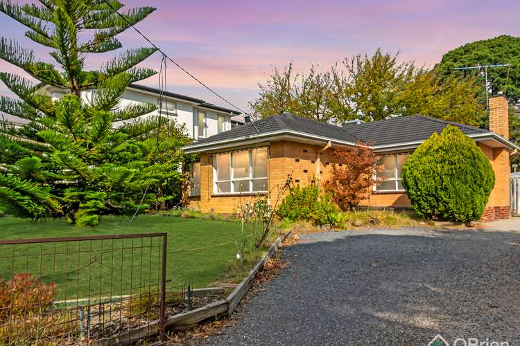 Main view of Homely house listing, 16 Jolimont Road, Forest Hill VIC 3131