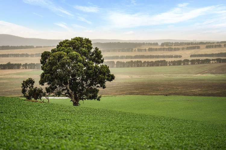 Main view of Homely ruralOther listing, 4844 Braidwood Road, Goulburn NSW 2580