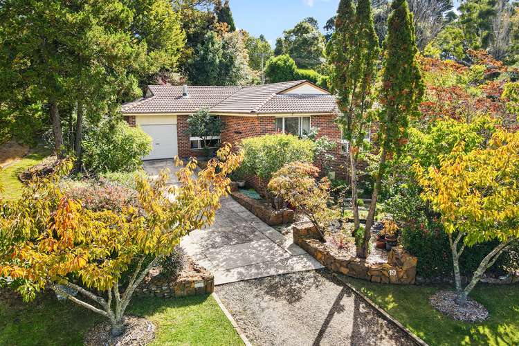 Main view of Homely house listing, 19 Cascade Street, Wentworth Falls NSW 2782