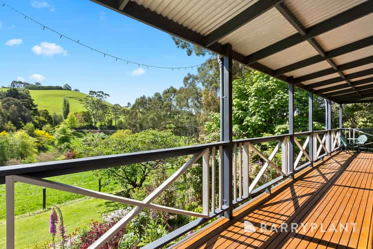 425 Olsens Road, Poowong VIC 3988