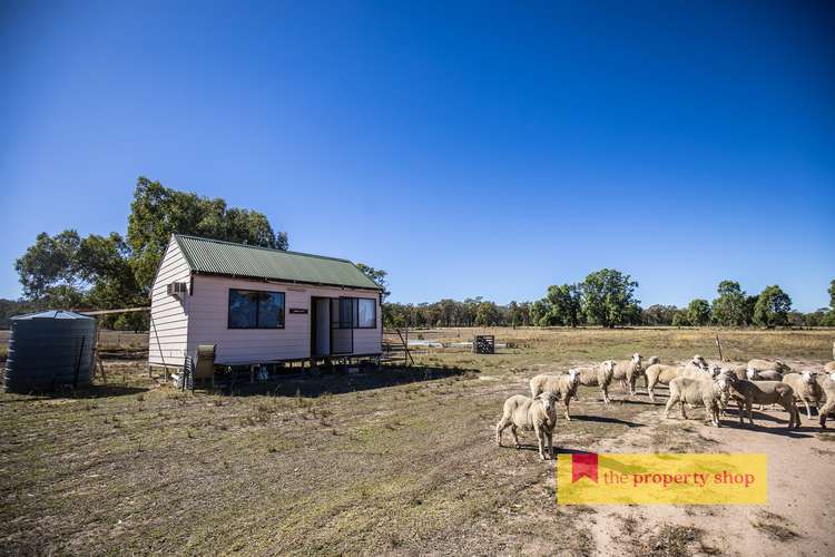 Main view of Homely ruralOther listing, 1613 Spring Ridge Road, Dunedoo NSW 2844