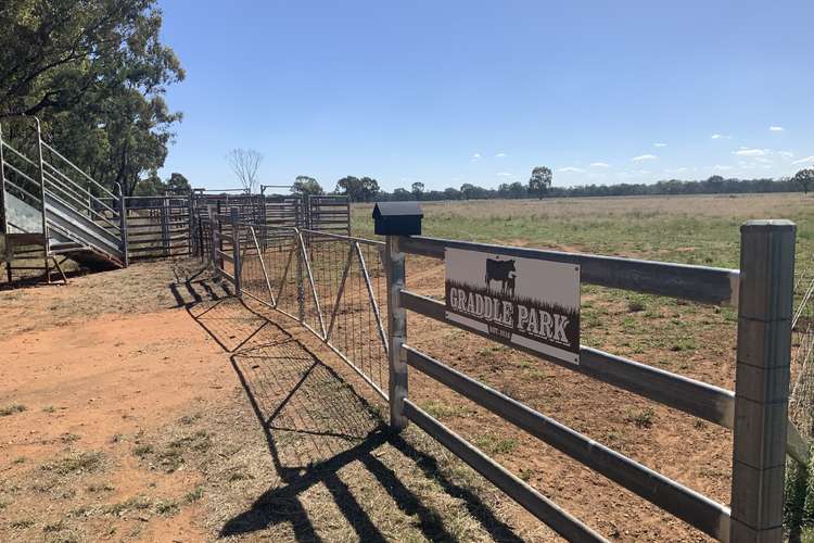 Main view of Homely mixedFarming listing, 49 Dawes Crossing, Narromine NSW 2821