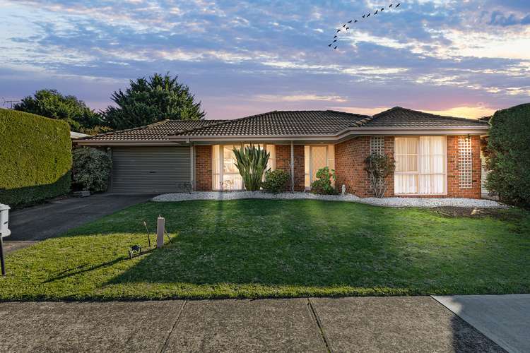 Main view of Homely house listing, 116 Courtenay Avenue, Cranbourne North VIC 3977