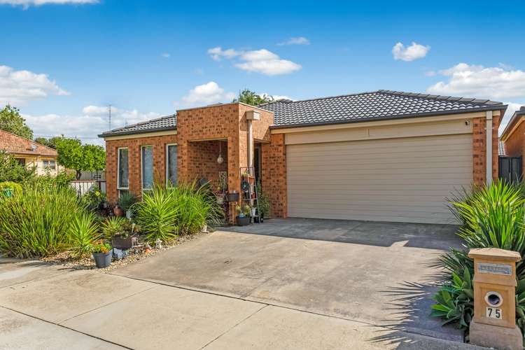 Main view of Homely house listing, 75 Dundas Street, White Hills VIC 3550