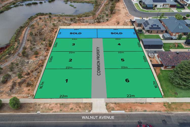 556 Walnut Avenue, Mildura VIC 3500