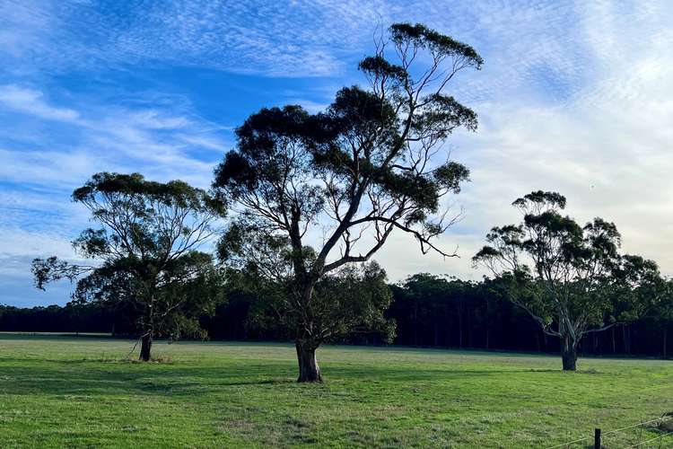 Cemetery Road, Cobden VIC 3266