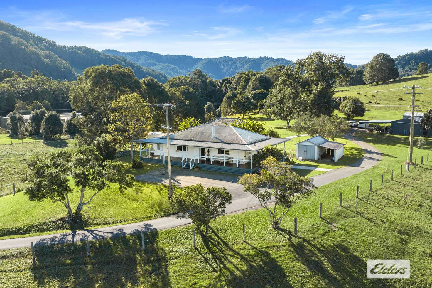 Main view of Homely livestock listing, 152 Dungay Creek Road, Dungay NSW 2484