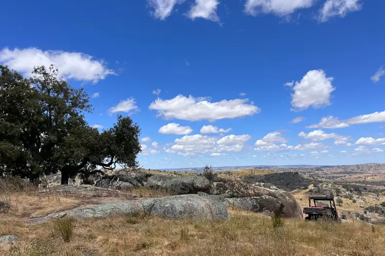 Seventh view of Homely rural property listing, Lot 3 Tarrants Gap Road, Wyangala NSW 2808