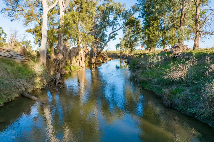 Main view of Homely rural property listing, Warraderry Way, Canowindra NSW 2804