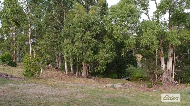 Main view of Homely land listing, 156 South Road, Penguin TAS 7316