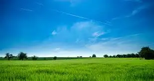 Main view of Homely land listing, Address available on request