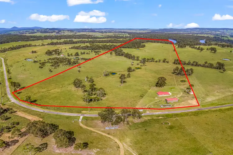 Main view of Homely rural property listing, 541 Warraba Road, The Branch NSW 2425