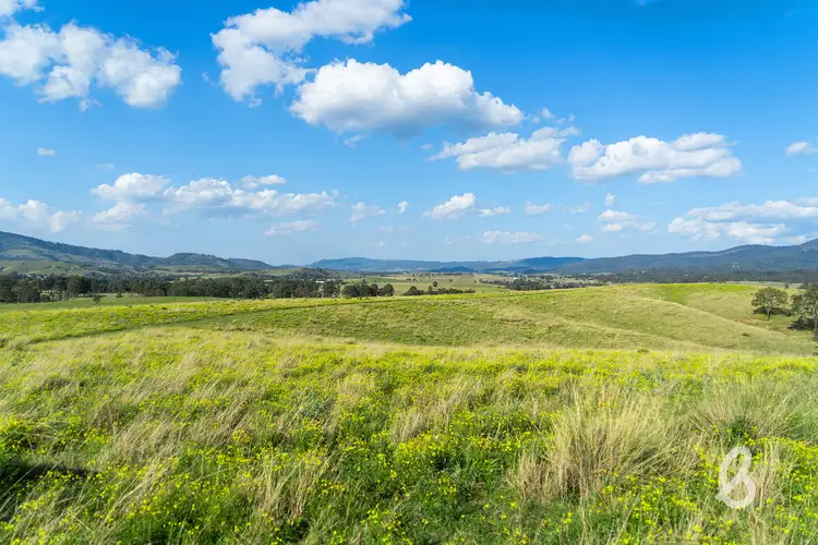 Fifth view of Homely rural property listing, 146 Hamiltons Crossing Road, Singleton NSW 2330