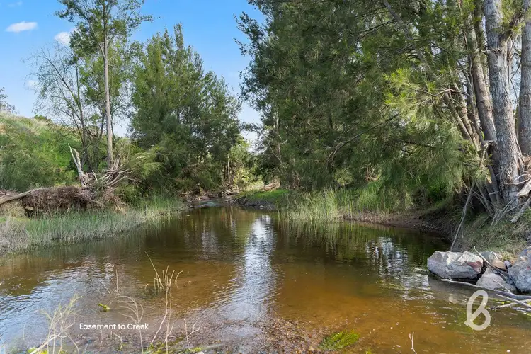 Seventh view of Homely rural property listing, 146 Hamiltons Crossing Road, Singleton NSW 2330