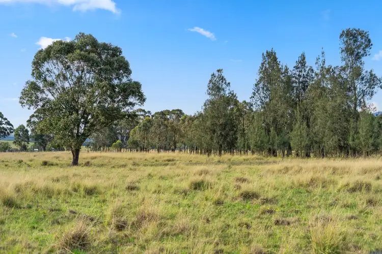 Fourth view of Homely rural property listing, Lot 102 Glendonbrook Road, Singleton NSW 2330
