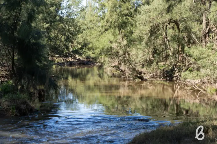 Fifth view of Homely rural property listing, Lot 102 Glendonbrook Road, Singleton NSW 2330