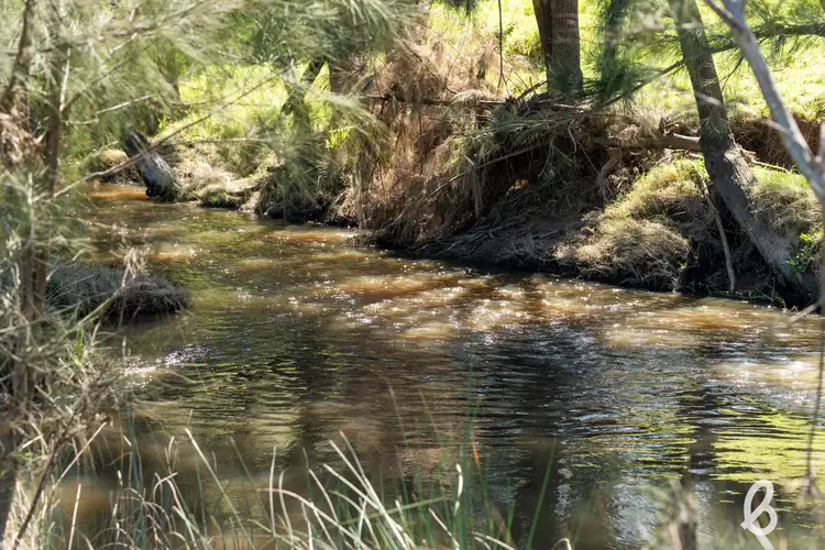 Sixth view of Homely rural property listing, Lot 101 & 103 Glendonbrook Road, Singleton NSW 2330