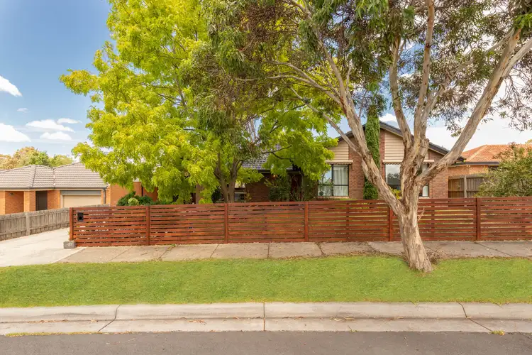 21 Curtin Drive