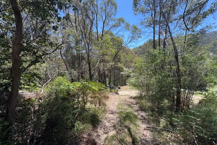 Fifth view of Homely land listing, LOT 3 McDougal Street, Woods Point VIC 3723
