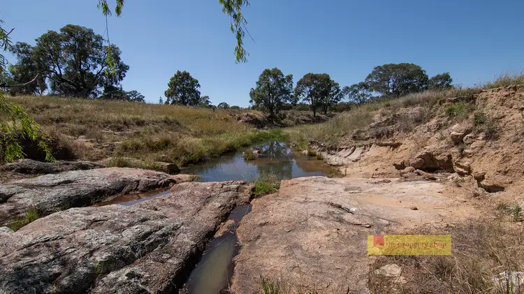 Fifth view of Homely rural property listing, 1/1921 Barneys Reef Road, Gulgong NSW 2852
