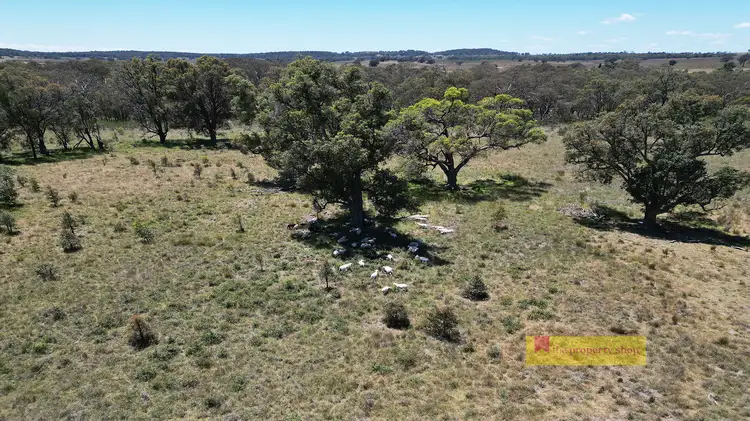 Third view of Homely rural property listing, 2/1921 Barneys Reef Road, Gulgong NSW 2852
