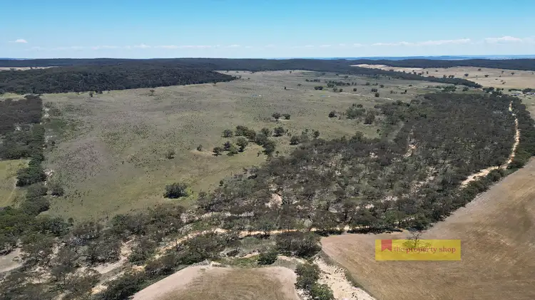 Fifth view of Homely rural property listing, 2/1921 Barneys Reef Road, Gulgong NSW 2852
