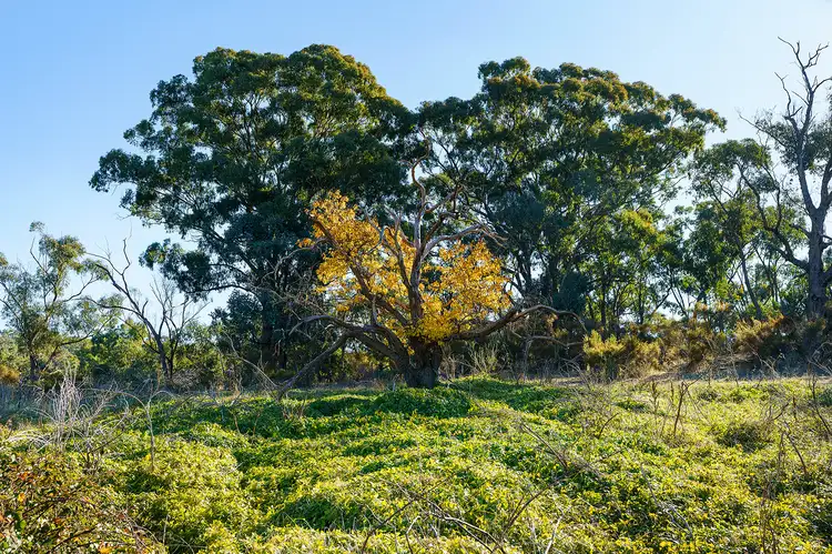 Fourth view of Homely rural property listing, LOT C/A 15 Vaughan-Chewton Road, Chewton VIC 3451