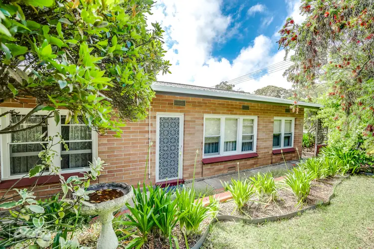 39 Ozone Street
