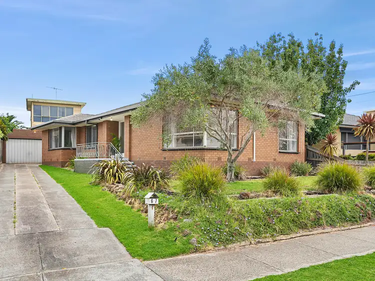 67 Peter Street