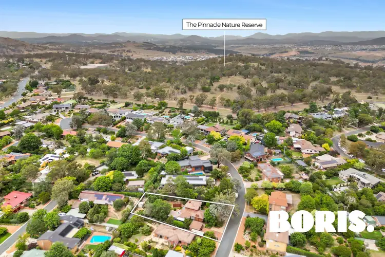 54 Woolner Circuit