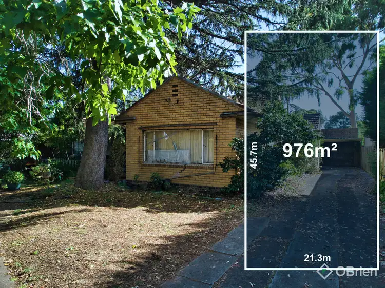 Main view of Homely house listing, 243 Mitcham Road, Mitcham VIC 3132