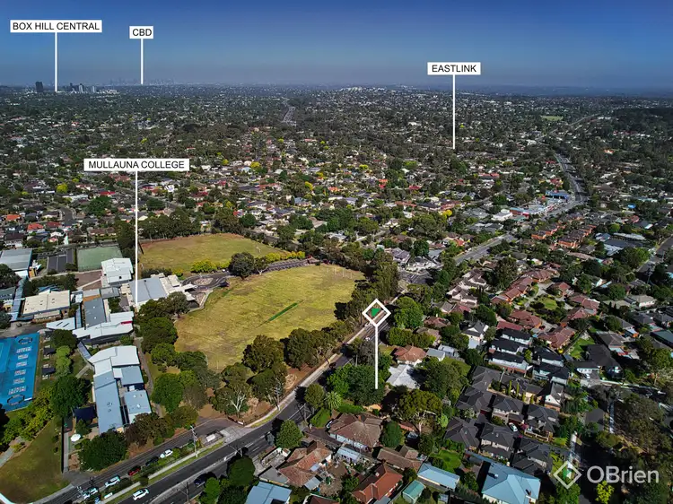 Fifth view of Homely house listing, 243 Mitcham Road, Mitcham VIC 3132