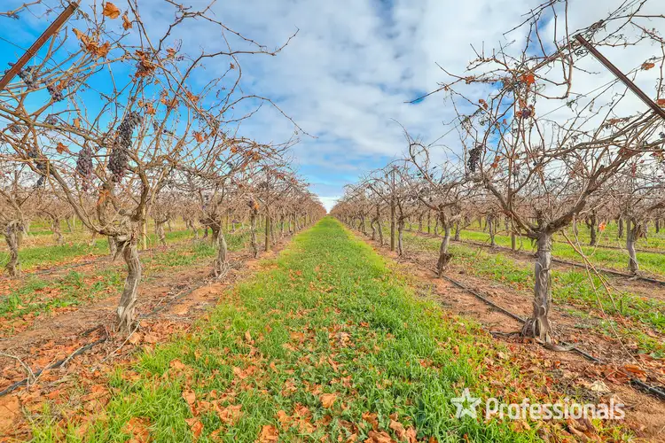 Sixth view of Homely rural property listing, 248 Sunnycliffs Crescent, Sunnycliffs VIC 3496