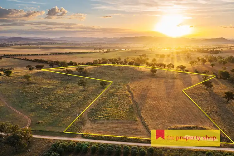 Main view of Homely rural property listing, 705 Springfield Lane, Gulgong NSW 2852