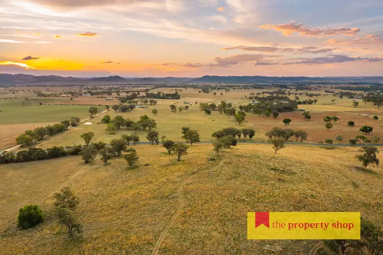 Second view of Homely rural property listing, 705 Springfield Lane, Gulgong NSW 2852