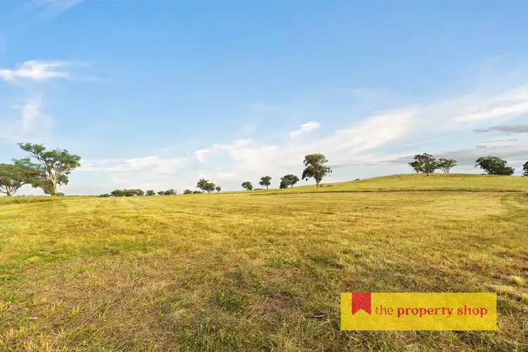 Fourth view of Homely rural property listing, 705 Springfield Lane, Gulgong NSW 2852