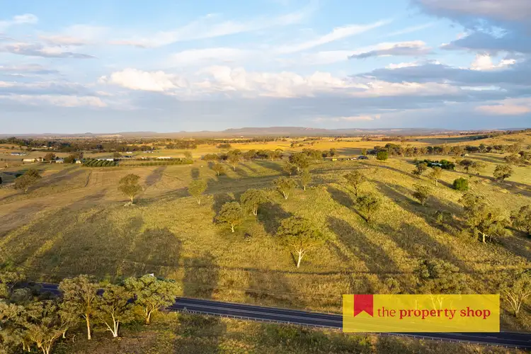 Fifth view of Homely rural property listing, 705 Springfield Lane, Gulgong NSW 2852