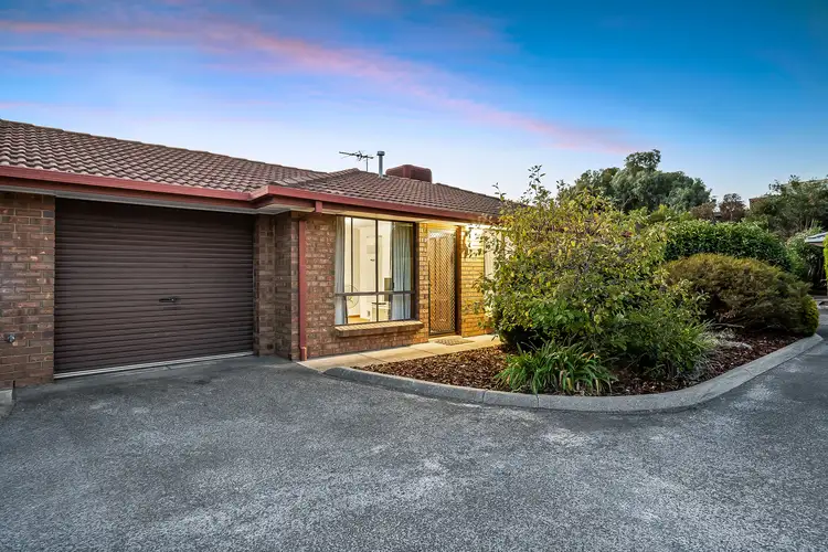 8/8 Harrison Avenue