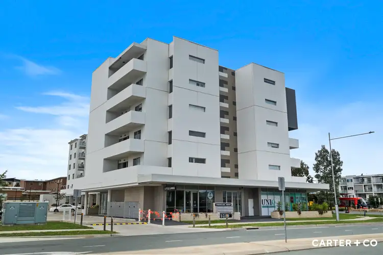 Main view of Homely apartment listing, 19/2 Manning Clark Crescent, Franklin ACT 2913
