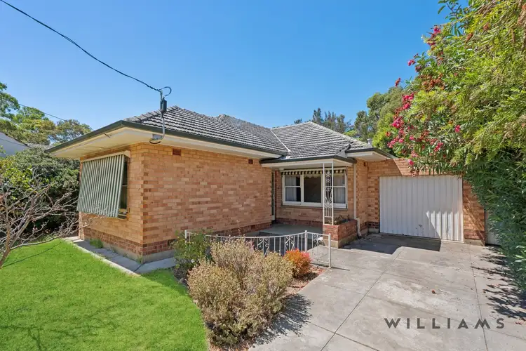 3 Chippendale Avenue