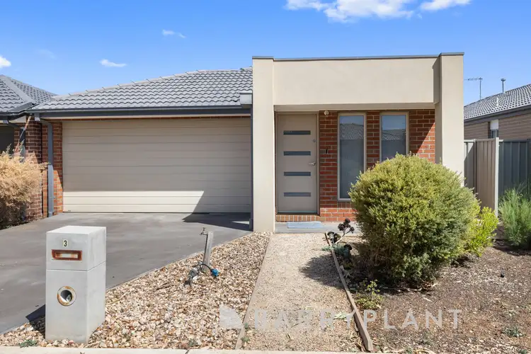 3 Nassella Close