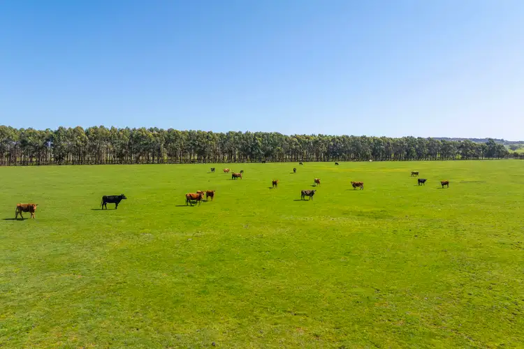 Sixth view of Homely rural property listing, Section 25 Waitpinga Road, Waitpinga SA 5211