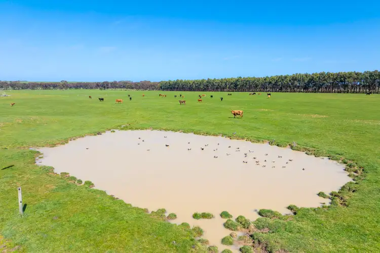 Seventh view of Homely rural property listing, Section 25 Waitpinga Road, Waitpinga SA 5211