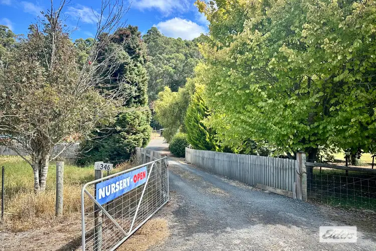 Second view of Homely rural property listing, 346 Wilmot Road, Forth TAS 7310