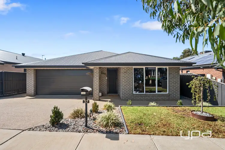 37 McLachlan Street