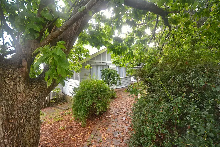 Main view of Homely house listing, 19 Warialda Street, Katoomba NSW 2780